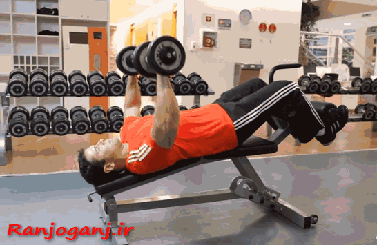 پرس زیر سینه با دمبل