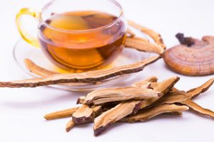 چای گانودرما