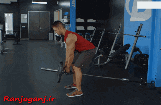 زیربغل تی بار با هالتر