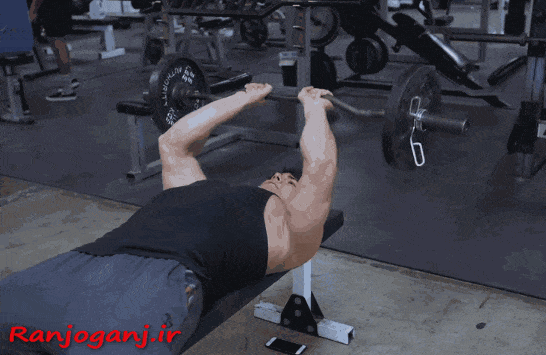 پشت بازو هالتر خوابیده